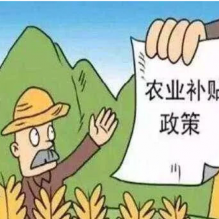 寶安區(qū)關(guān)于促進專業(yè)服務業(yè)發(fā)展的若干措施