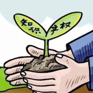南山區(qū)科創(chuàng)局關(guān)于申報(bào)2020年專利支持計(jì)劃項(xiàng)目（第一批）的通知